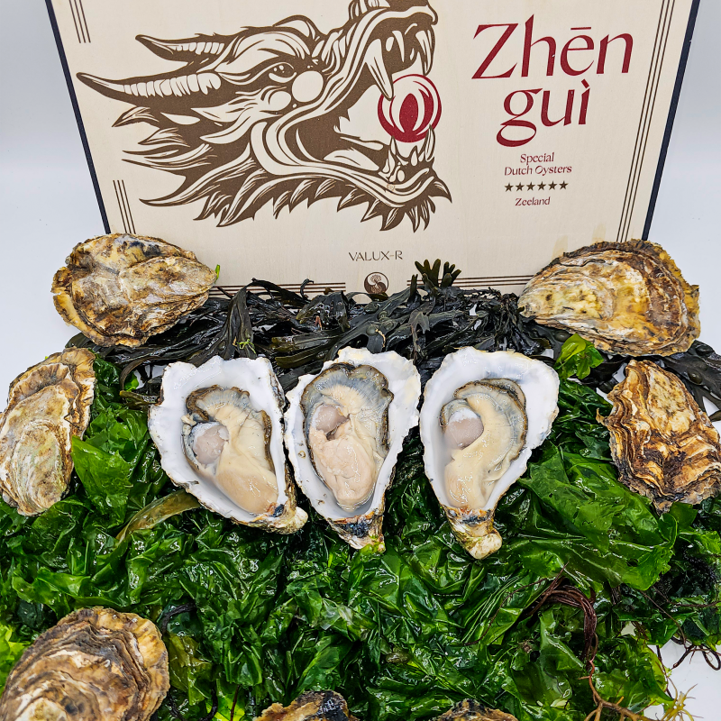 Zeeland Oyster