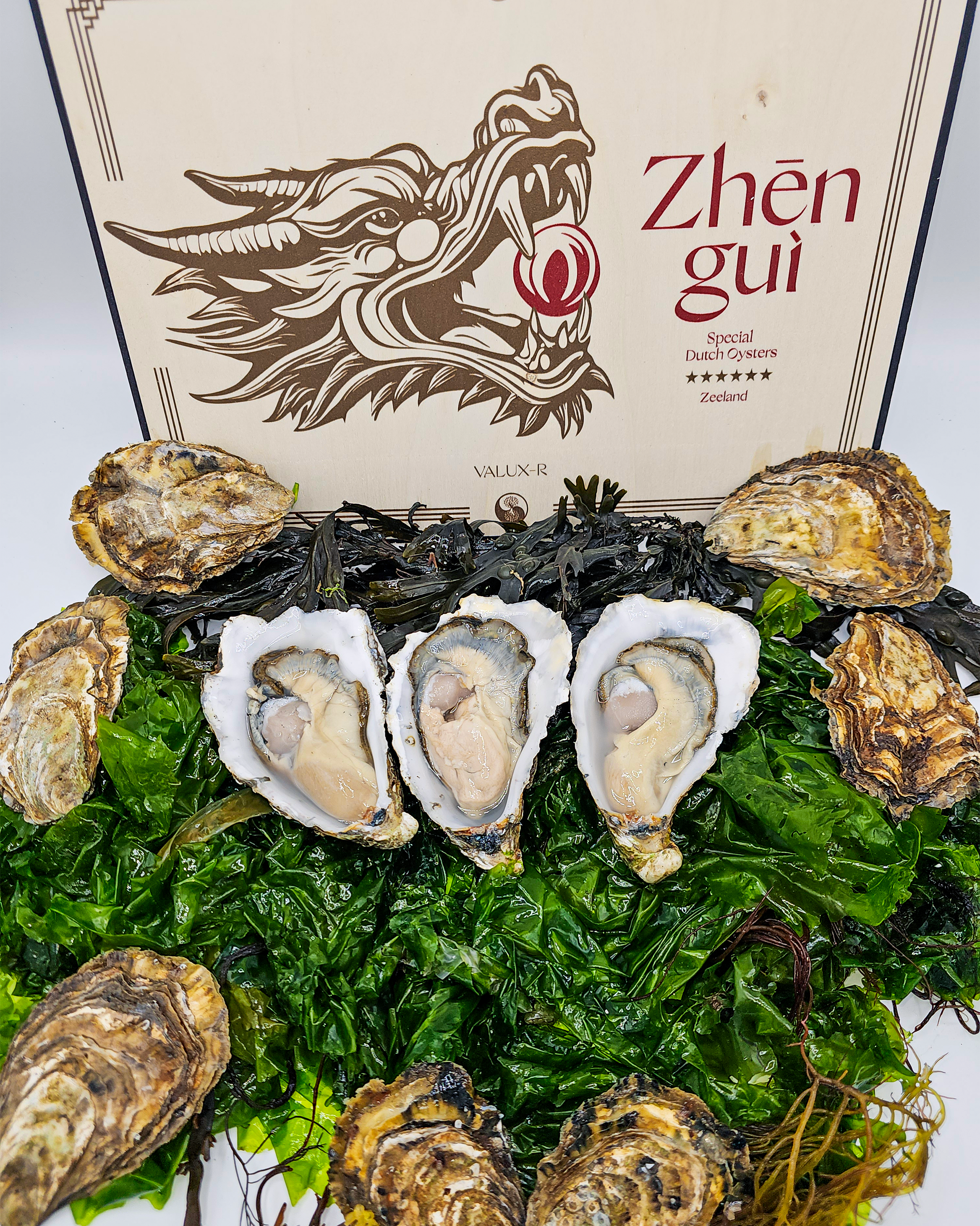 Zeeland Oyster